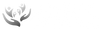 bucketofdeals